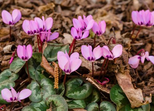 �� ��������������� �� ����������� ������ � ����������� ��� ������� ������������ ��������, ���������� � ������� �����