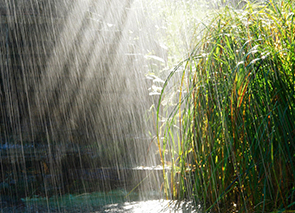 ������� ������ �� 2 ���� 