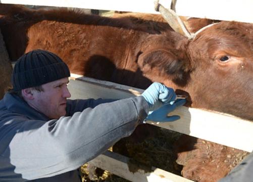 ��������� � ������� ��������, ������� ��� ��������