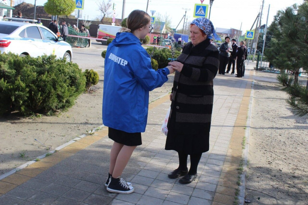 верб4.jpg верб4.jpg