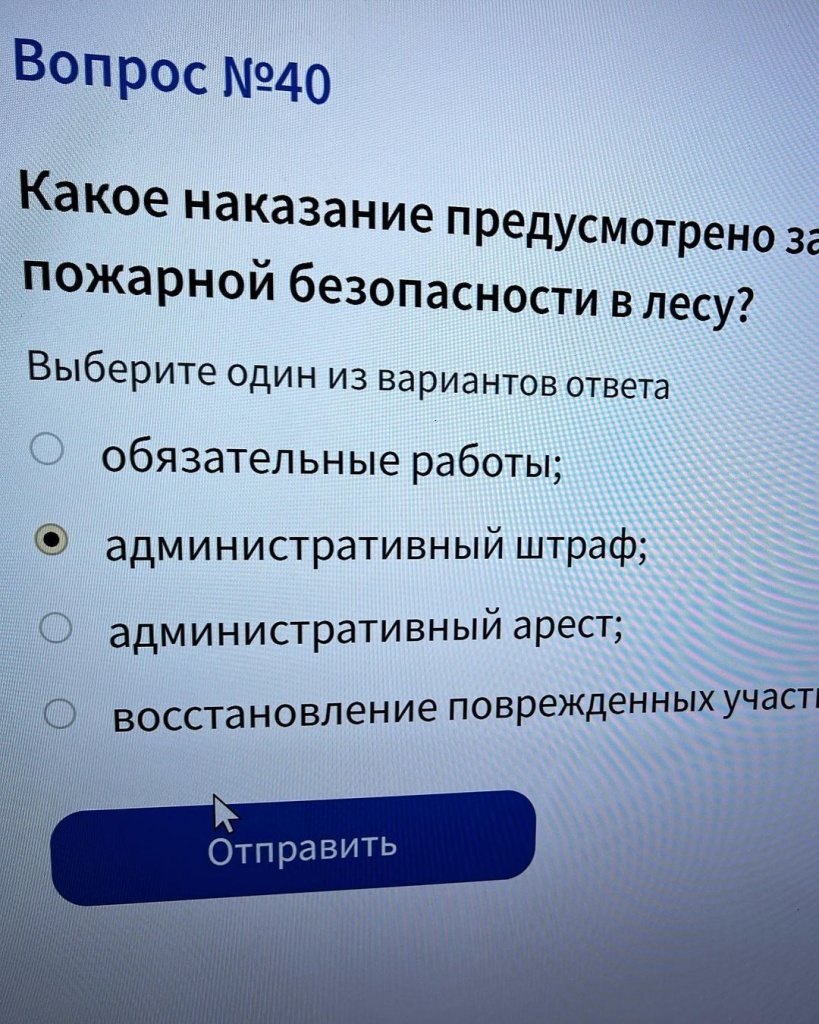 265198289_919579238917672_6207815509223646925_n.jpg