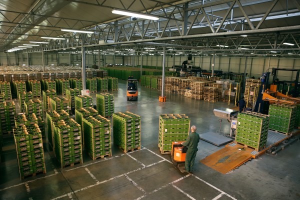 WhatsApp Image 2022-09-10 at 11.04.22.jpeg