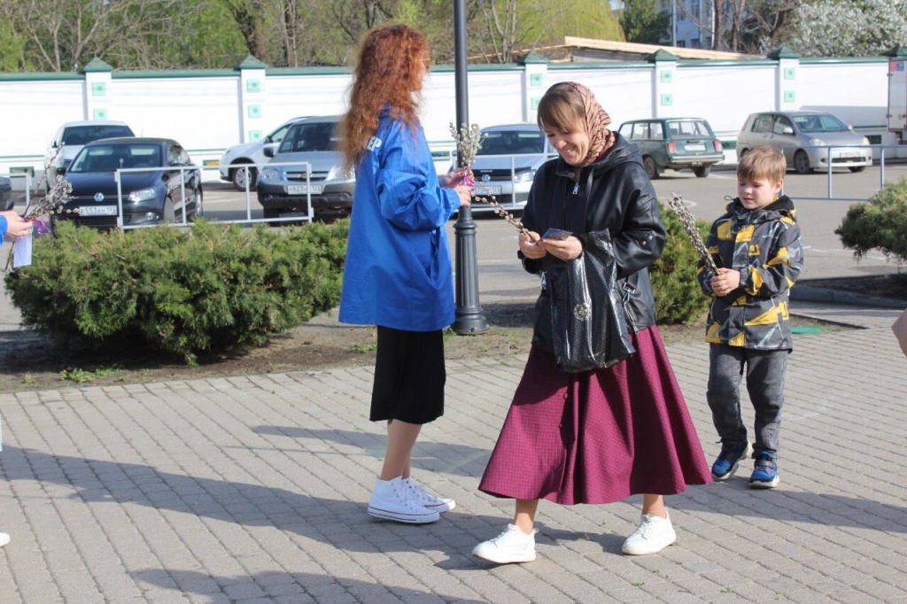 верб2.jpg верб2.jpg