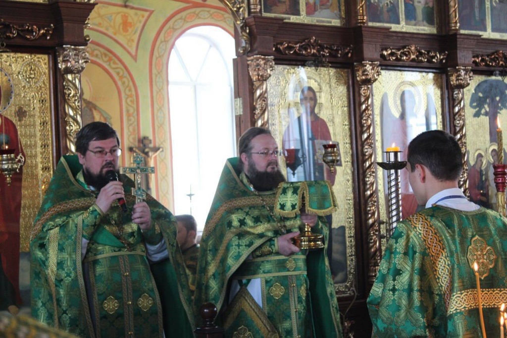 верб6.jpg верб6.jpg