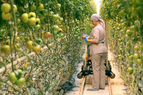 WhatsApp Image 2022-09-10 at 11.04.03.jpeg